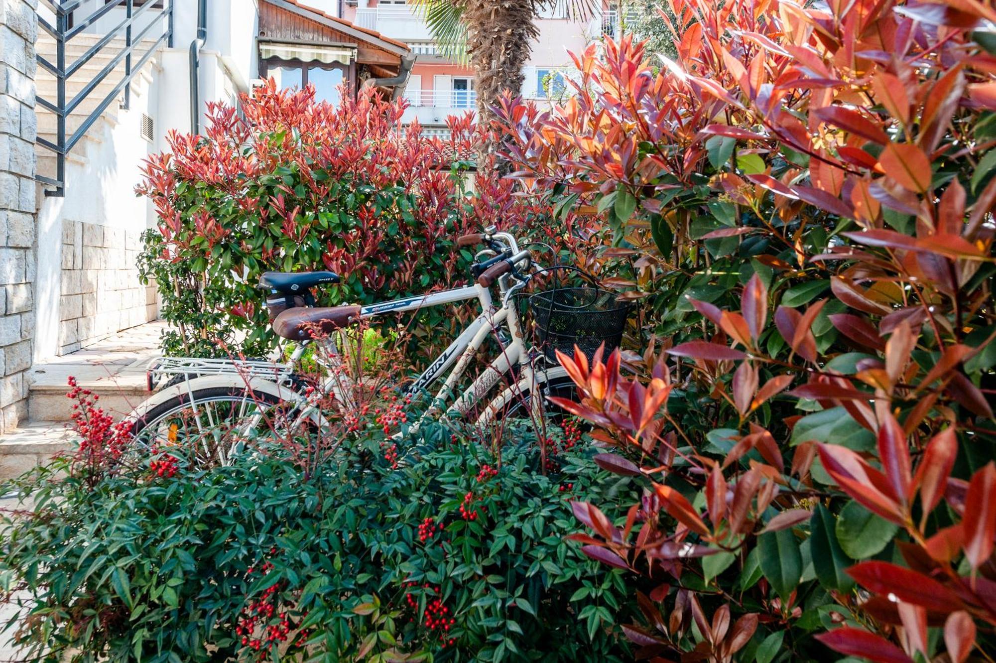 Apartment Lili Poreč Dış mekan fotoğraf